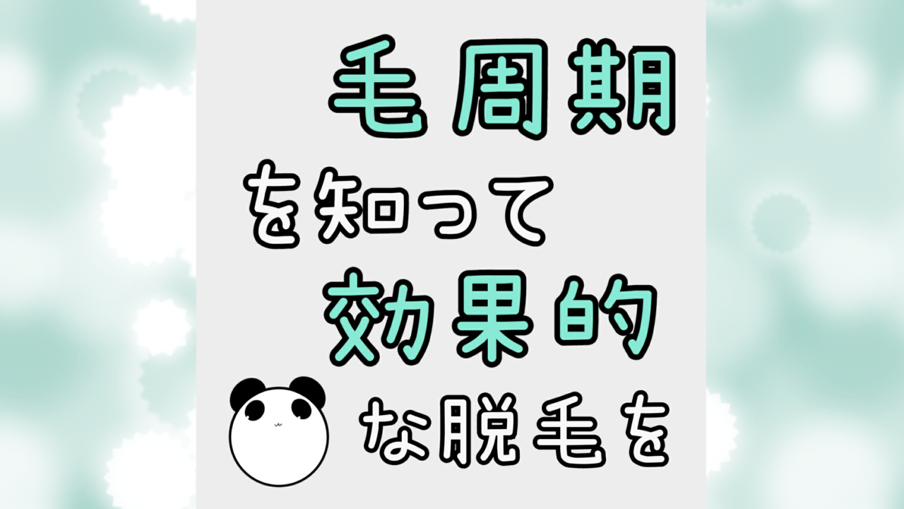 毛周期を知って効果的な脱毛を